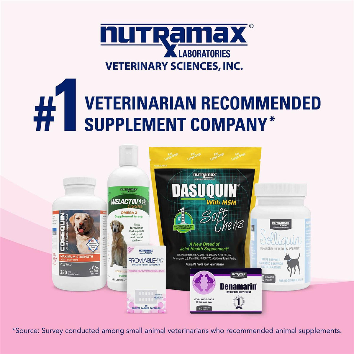 Health Supplement Kit Dogs H9712