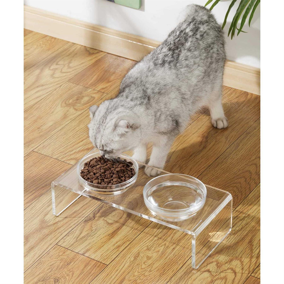 Acrylic Elevated Dog Cat Bowls with 2 Glass and 2 Stainless Steel Bowls T214135