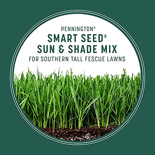 7 lb Tall Fescue Grass Seed Mix C32386