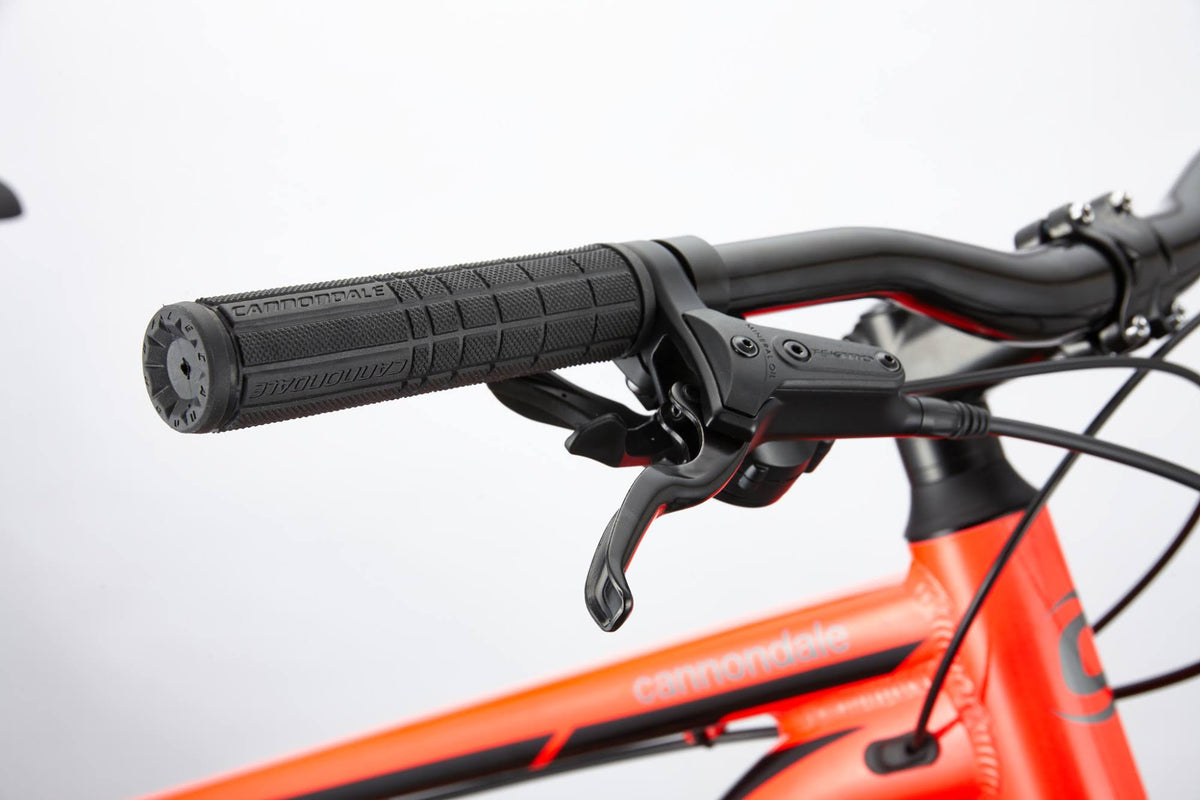 Midnight S Bike D2196