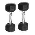 15lb Coated Rubber Hex Dumbbell Pair O9170