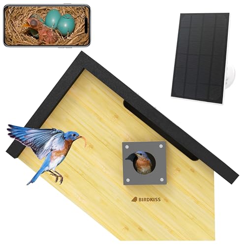 Black Solar Powered Birdhouse with Camera W47919