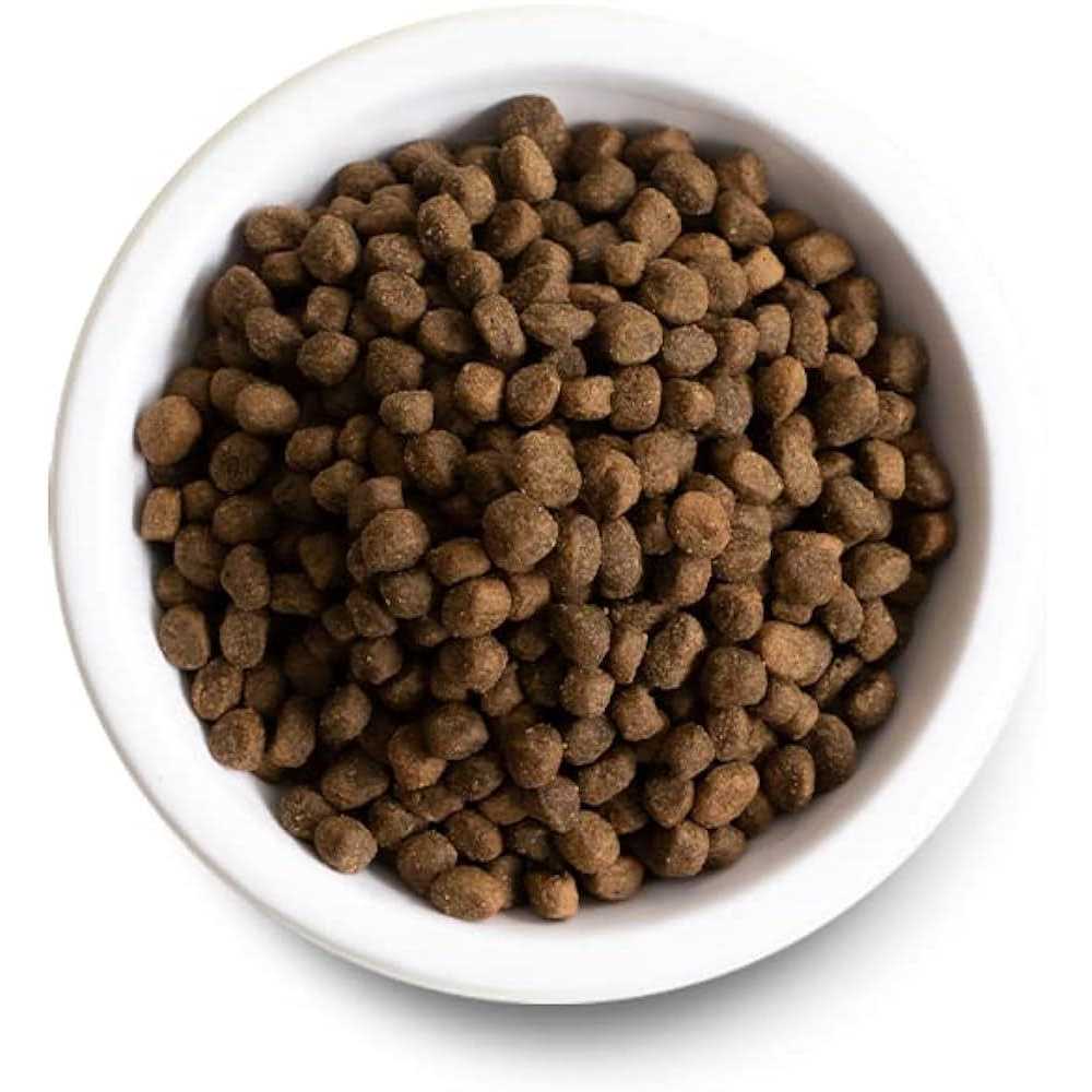 Ancient Grains Dog Food Z767