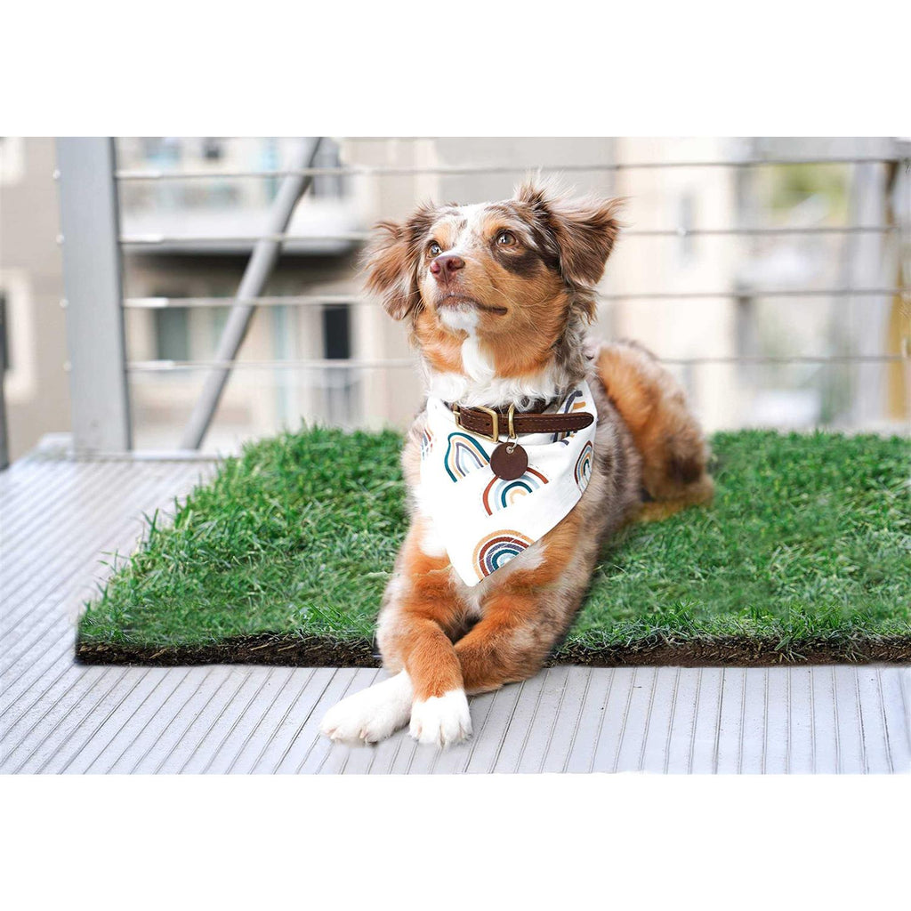 Real Grass Dog Potty T909556