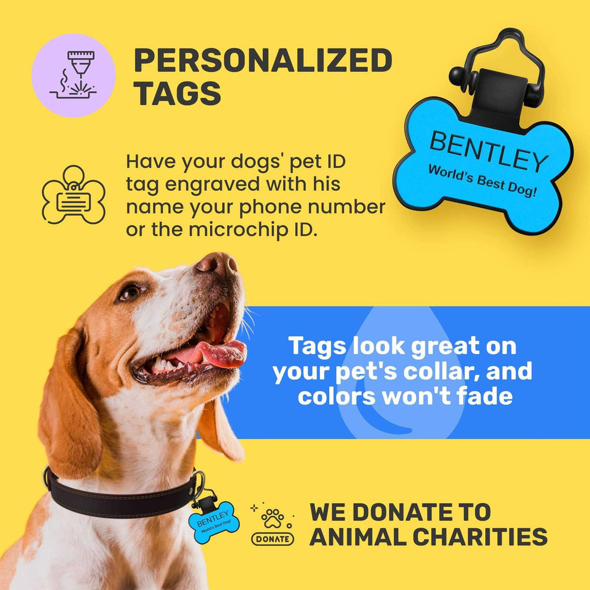 Personalized Silicone Pet ID Tag K9543