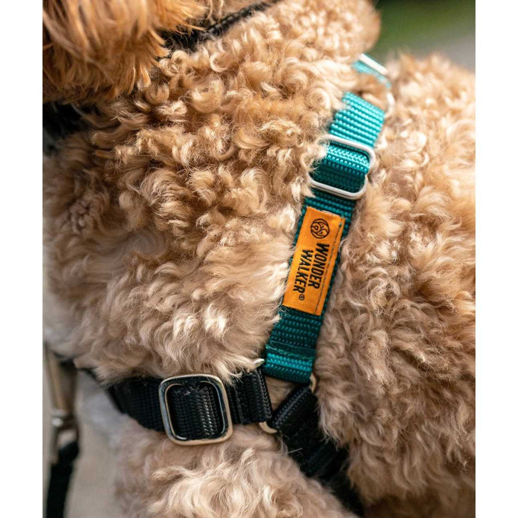 Dog Harness Z834761