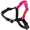 Dog Harness Z834761