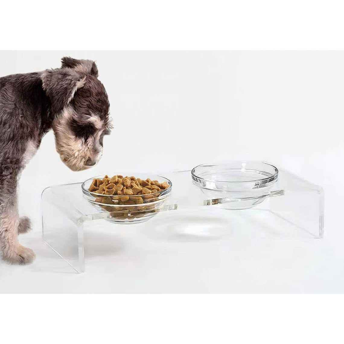 Acrylic Elevated Dog Cat Bowls with 2 Glass and 2 Stainless Steel Bowls T214135