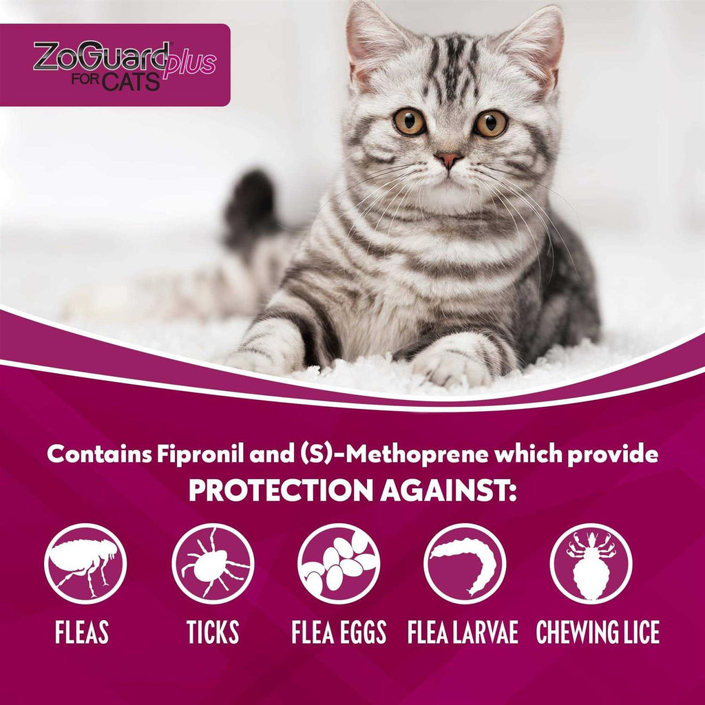 Cat Pet Supplies X584