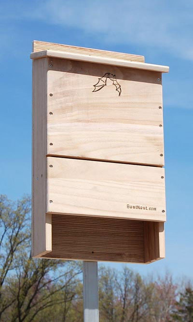 Triple-Celled Bat House U312