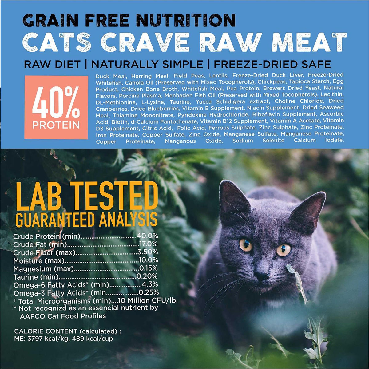 Raw Cat Kibble with Freeze-Dried Whitefish M91205