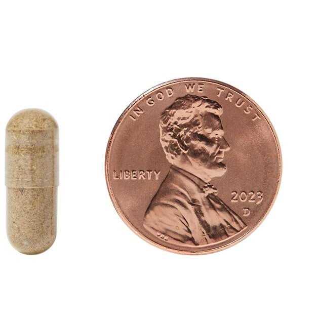Kidney & Bladder Stone Support for Cats P627
