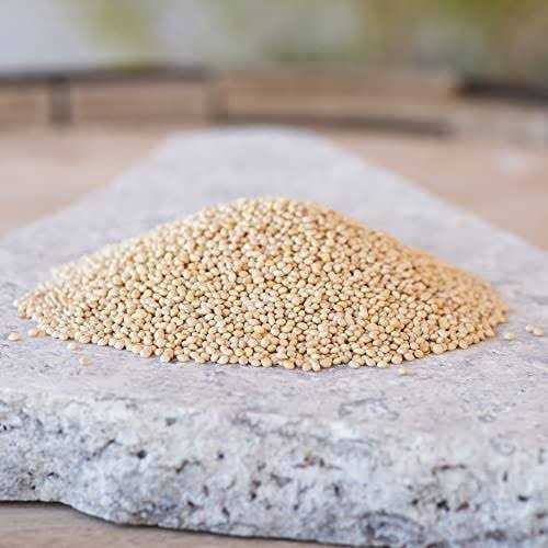 White Millet Proso Seeds G31222