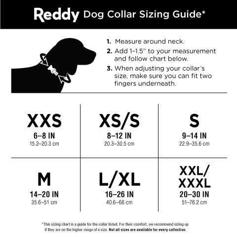 Dog Collar Q678
