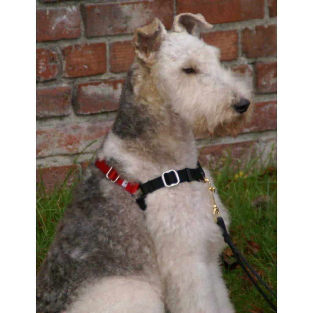 Dog Harness Z834761