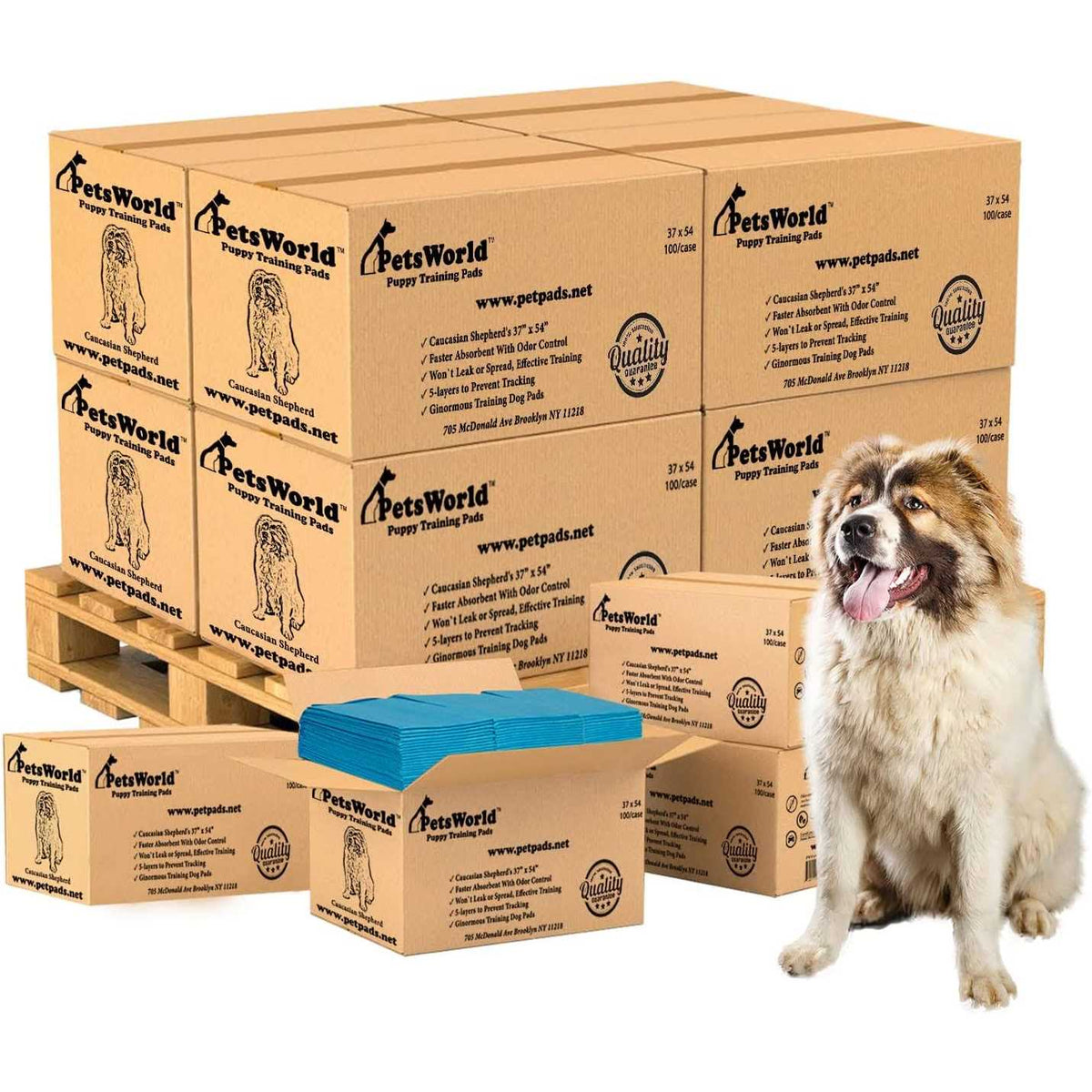 XXL Tear Resistant Pet Potty Pads G52873