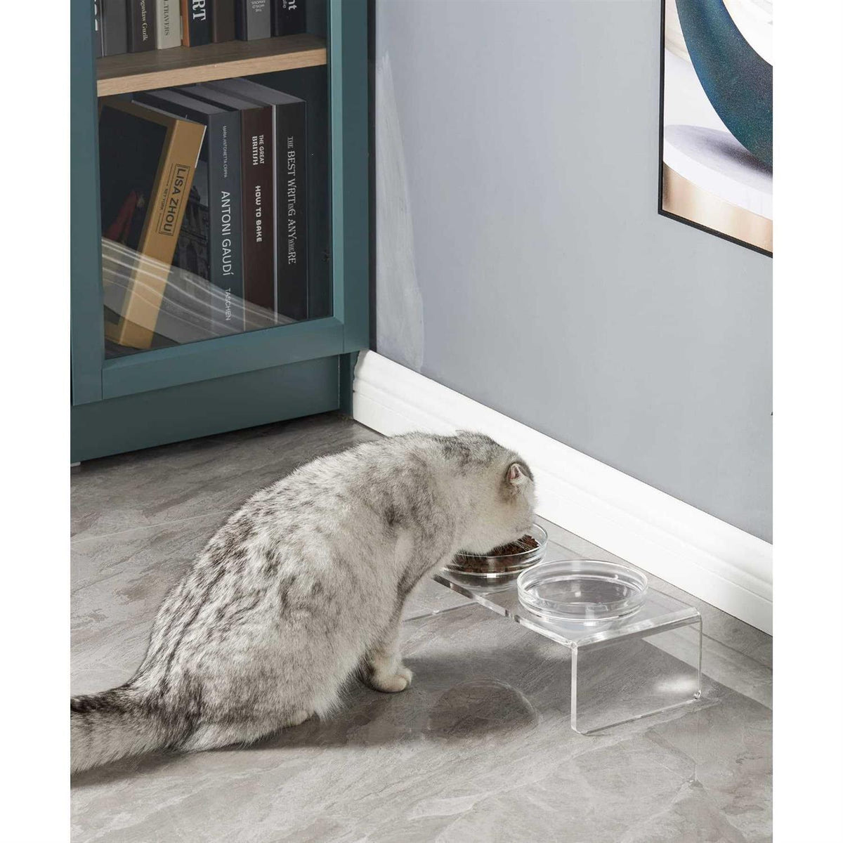 Acrylic Elevated Dog Cat Bowls with 2 Glass and 2 Stainless Steel Bowls T214135
