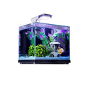 Glass Aquarium P26694