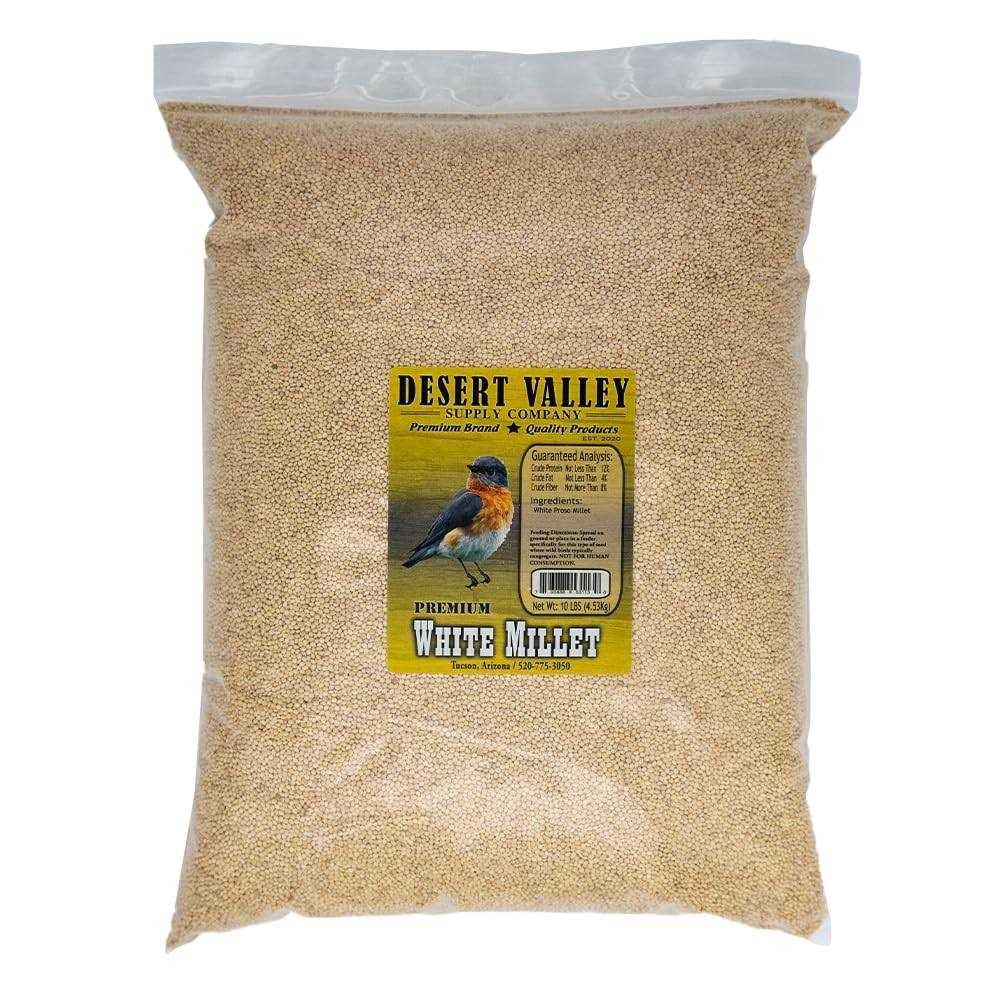 White Millet Proso Seeds G31222