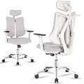 Ergonomic Office Chair with Lumbar Support B37992