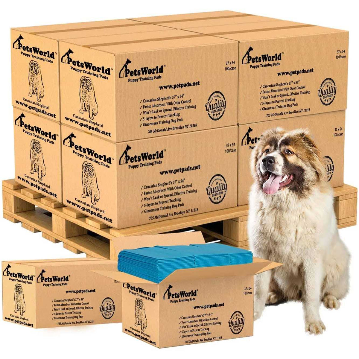 XXL Tear Resistant Pet Potty Pads G52873